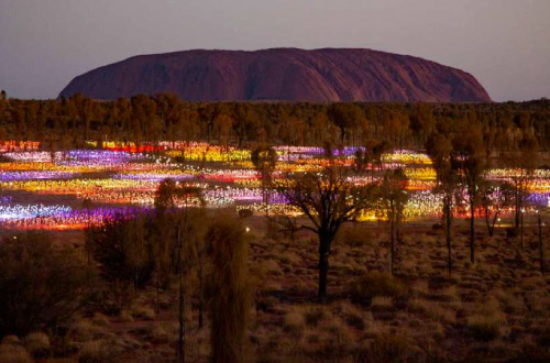 Field of Lights