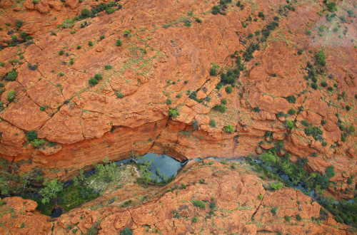 Kings Canyon Rim Walk