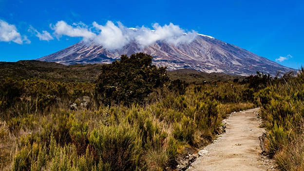 cycle-mount-kilimanjaro