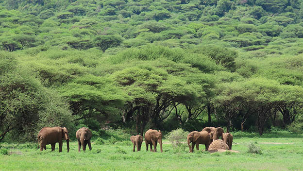 ngorongoro-crater