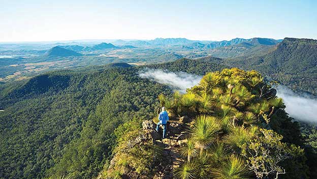 scenic-rim-trail-walk-mt-mitchell-queensland-overnight-hike