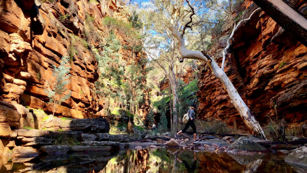 alligator-gorge-flinders-ranges-mount-remarkable-national-park