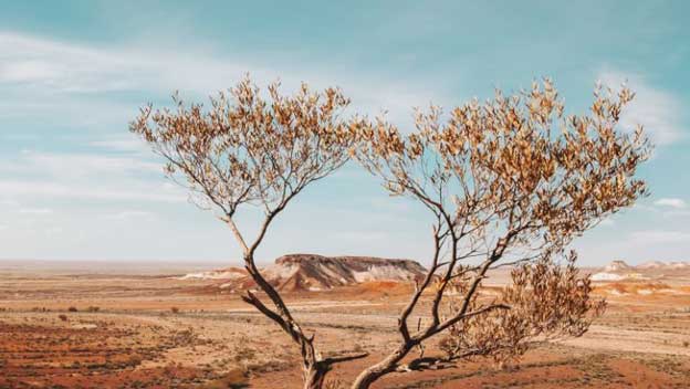 breakaways-south-australia-desert