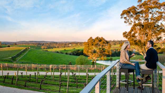 the-lane-vineyard-adelaide-hills-vines