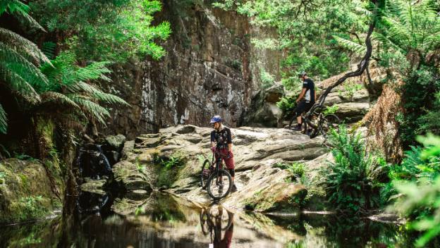 blue-derby-mountain-bike-trail-tasmania-australia