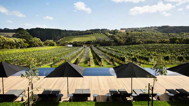 Jackalope-Room-View-mornington-peninsula-victoria-australia