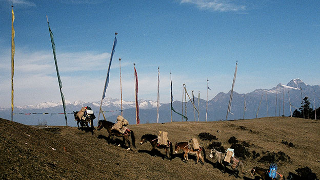 bhutan-trekking