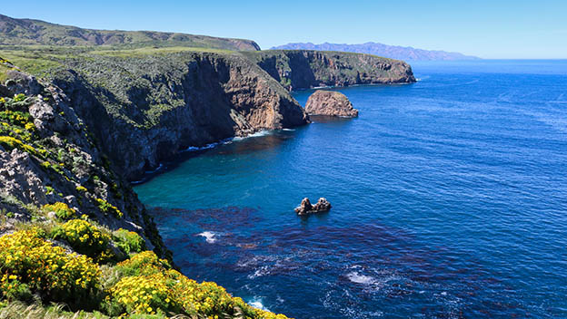 coast-of-santa-cruz-island-channel-islands-national-park