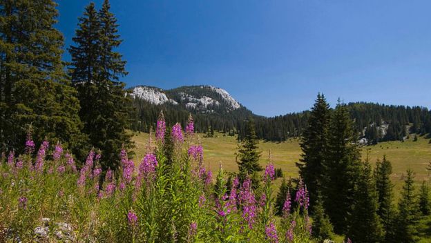 uvala-veliki-lubenovac-nothern-velebit-croatia