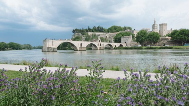 avignon-lavander-field-bridge-background