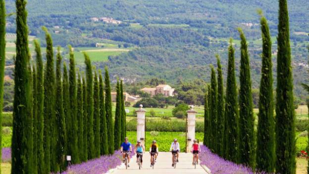 provence-france-vineyards-cycle-bike