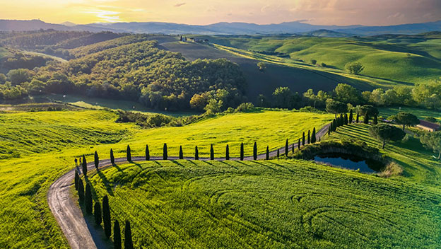cypress-road-tuscan-countryside-tuscany-italy