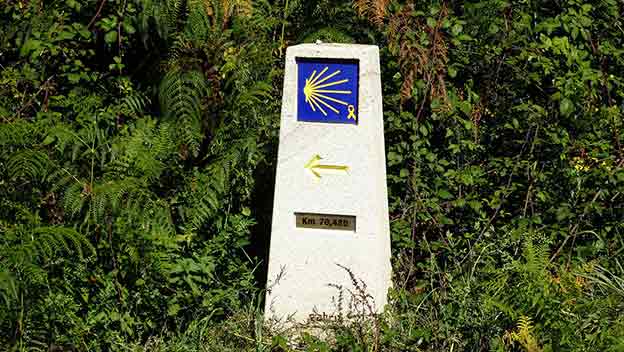 path-sign-camino-de-santiago