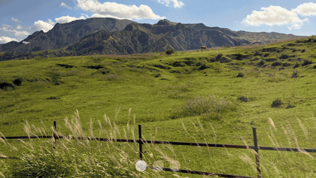 aso-grassland-kyushu-japan-picnic