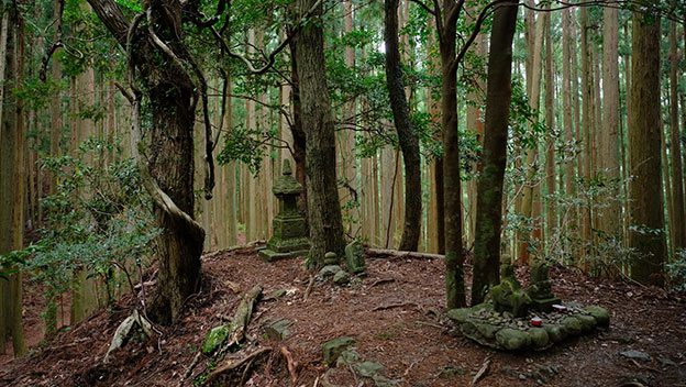 gyubadouji-nakahechi-route-kumano-kodo-wakayama-japan-shutterstock1970260747