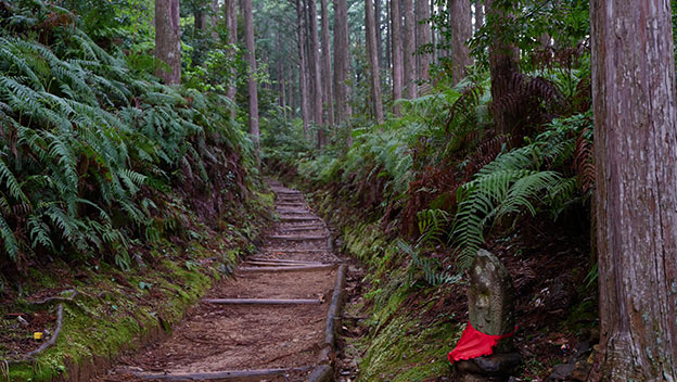 kumano-kodo-trail-shutterstock1960870609