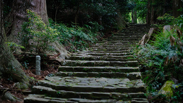 kumano-kodo-wakayama-japan-shutterstock1977130538