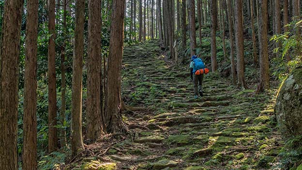 kumano-kodo-walk