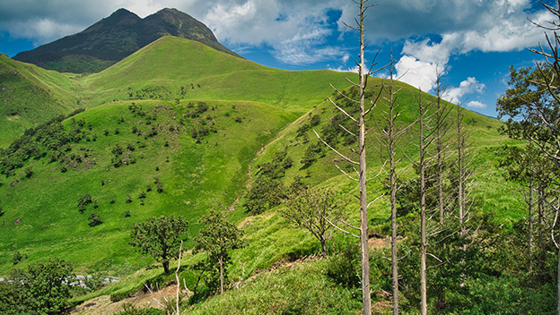mount-yufu-beppu-oita-japan