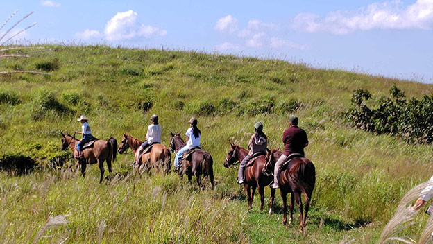 mt-aso-horseback-riding-kyushu-japan