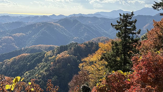 mt-takao-trail-mountain-view