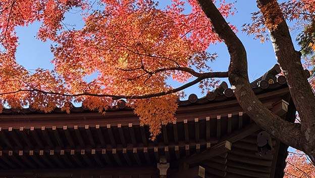 mt-takao-trail-temples-and-shrines