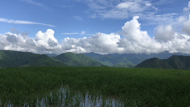 takahara-kumano-kodo-wakayama-japan