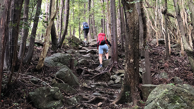 takijiri-to-takahara-trail-3-kumano-kodo-wakayama-japan