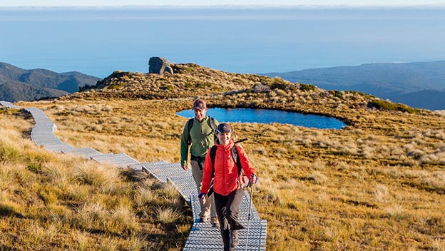 hump-ridge-track-fiordland