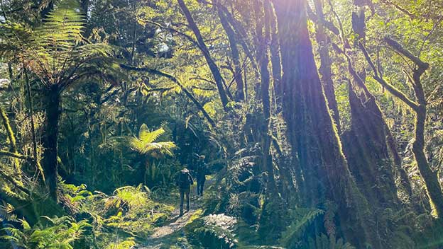 milford-track-fiordland