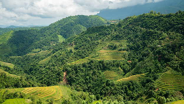 hike-and-walk-vietnam