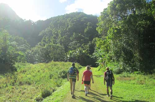 Cross-Island-Trek