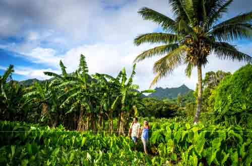 Aitutaki-walking-cook-islands