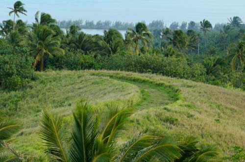 piraki-lookout-walking-cook-islands