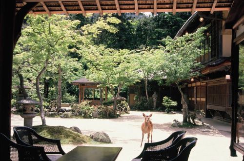 Miyajima-Island-Iwaso-Ryokan-lobby