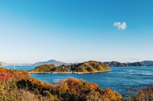 japan-cycling-shimanami-kaido-cycling