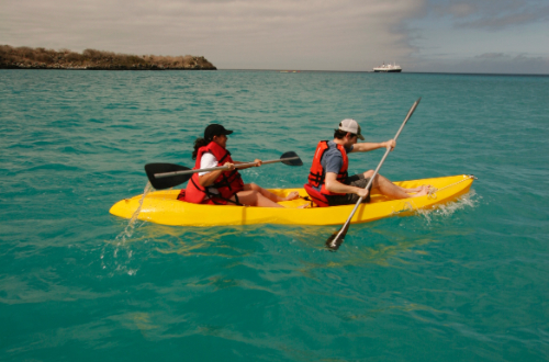 galapagos-islands-luxury-cruise-kayak-sealife-beach