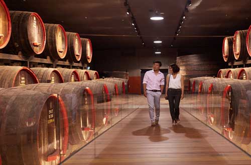 south-australia-barossa-valley-penfolds-barrels-