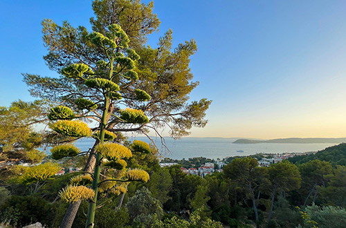 marjan-hill-split-croatia-shutterstock2354853999