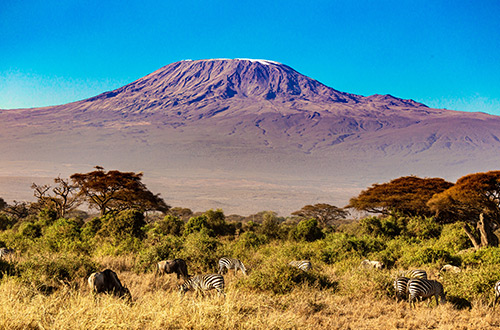 amboseli-national-park-kajiado-kenya-zebra