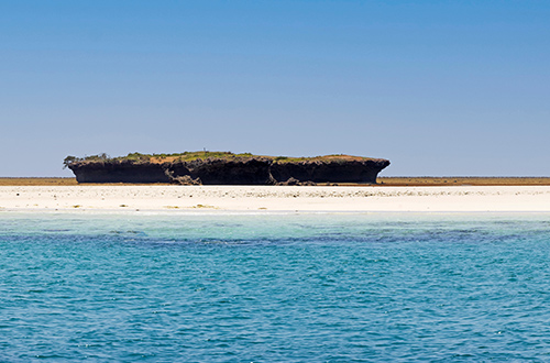 kisite-mpunguti-marine-national-park-kenya