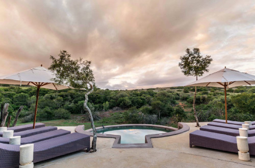 amakhala-safari-lodge-pool