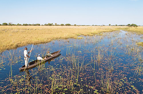 okavango-delta-mokoro