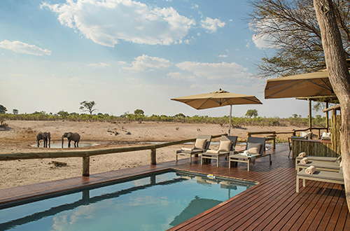 savute-safari-lodge-pool