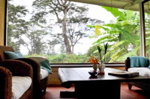 mount-kilimanjaro-tanzania-africa-moshi-town-machare-cottage-farm-garden