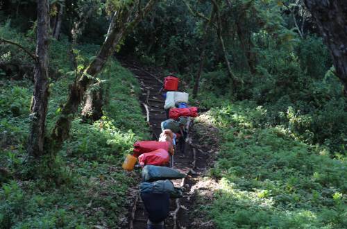 mount-kilimanjaro-tanzania-africa-porters-rainforest