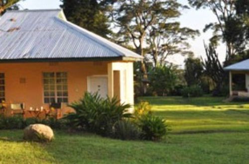 mount-kilimanjaro-tanzania-africa-moshi-town-machare-cottage-farm-garden