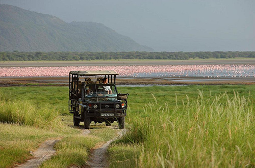 andbeyond-lake-manyara-tree-lodge-tanzania-dining-bush