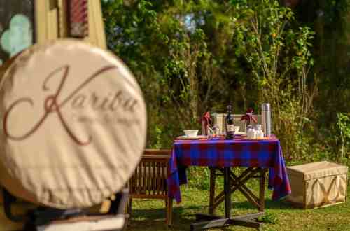 lions-paw-camp-tanzania-picnic