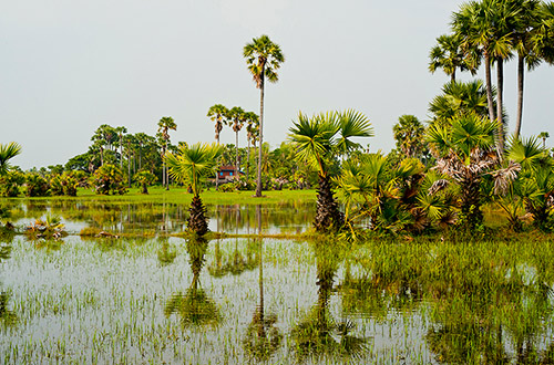 aqua-mekong-discovery-cruise-scenery